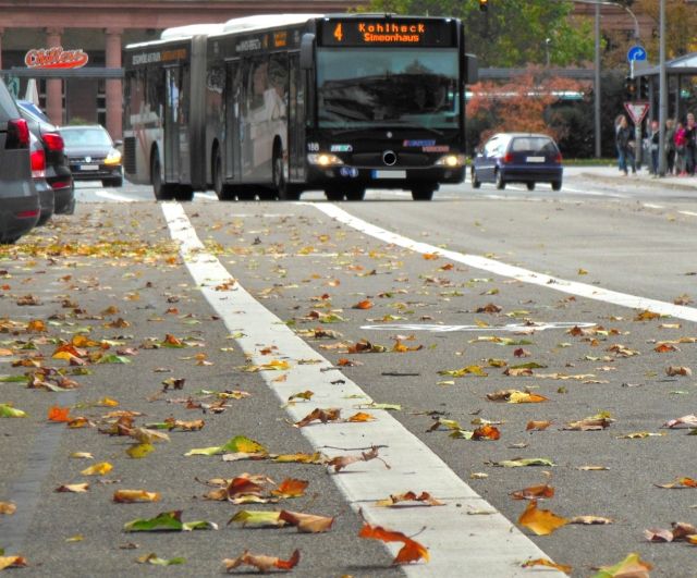 枯れ葉とバス