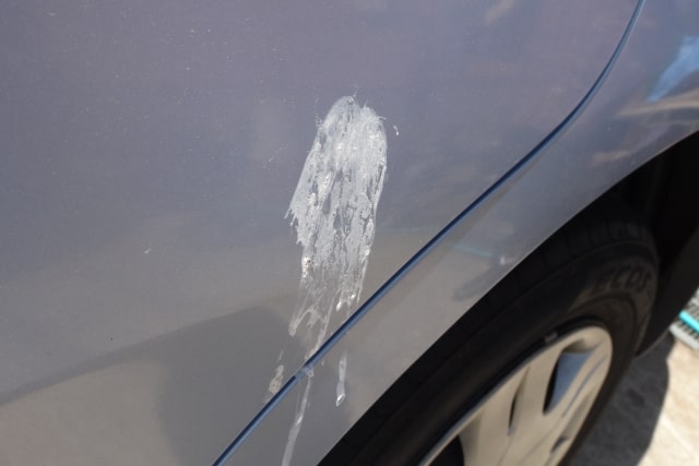 汚れが付着した車