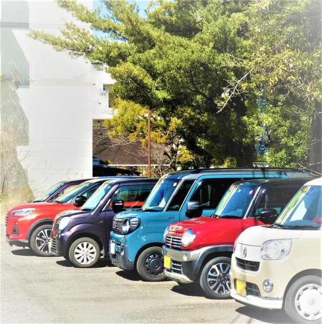 駐車場付近に木がある場合は要注意！樹液・落ち葉の影響とおすすめの対策