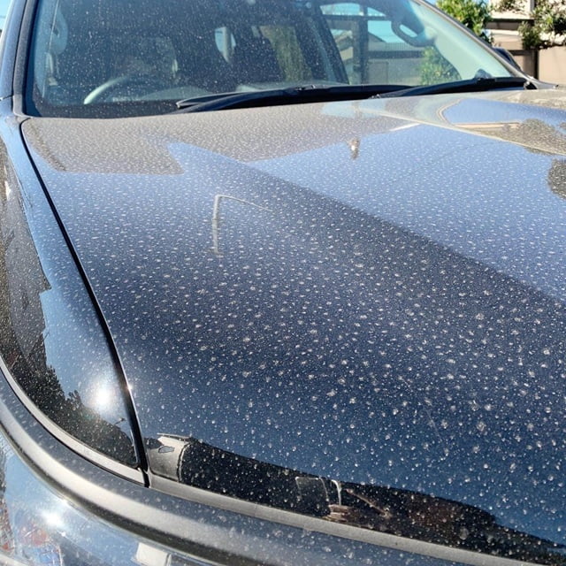 春の車汚れ、何が原因？黄砂・花粉・PM2.5の対処法